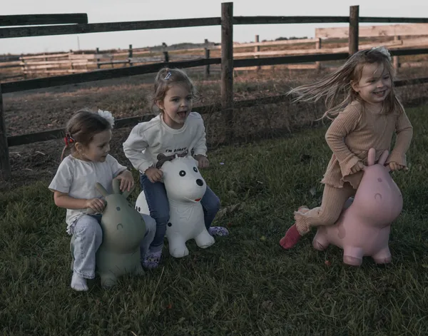 Soft play igraonica - igraonica-16