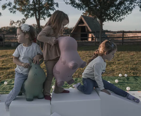 Soft play igraonica - igraonica-18